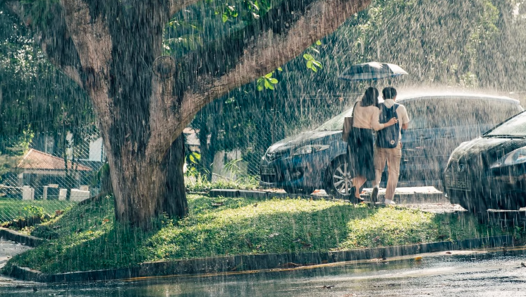 wet season.png